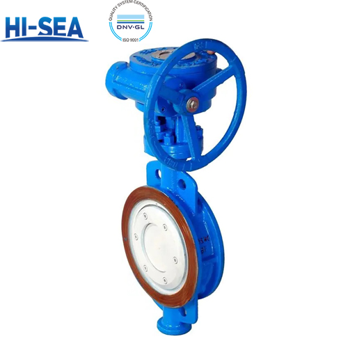 Marine Stainless Steel Double Eccentric Wafer Type Butterfly Valve